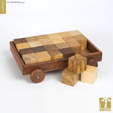 Holzmusterwagen 2