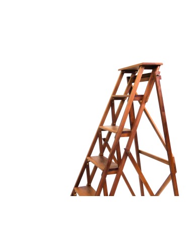 Bibliotheksleiter Libri