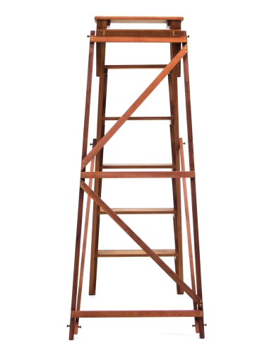 Bibliotheksleiter Libri